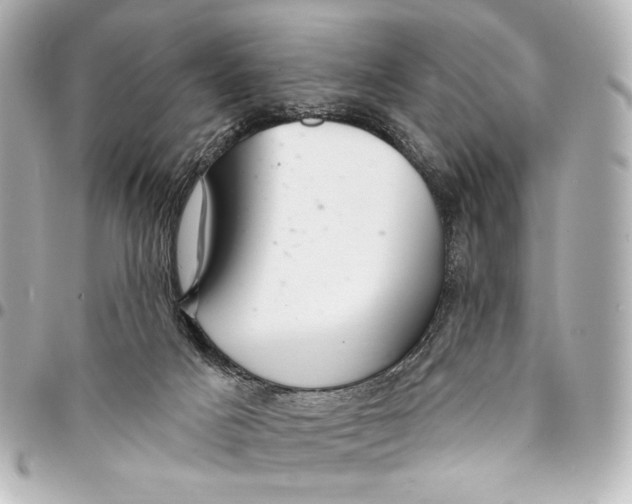 X0000094940025200712201125