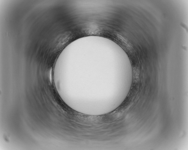 X0000094940028200712201125