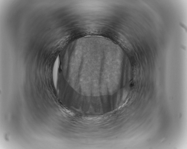 X0000094940029200712201125