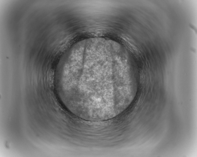 X0000094940030200712201125