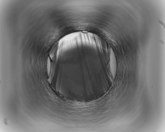 X0000094940031200712201125