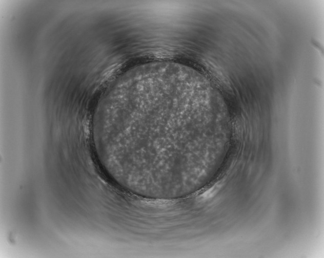 X0000094940032200712201125