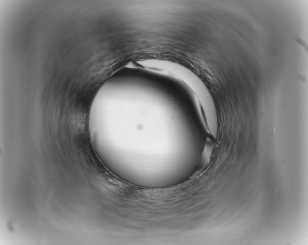 X0000094940033200712201125