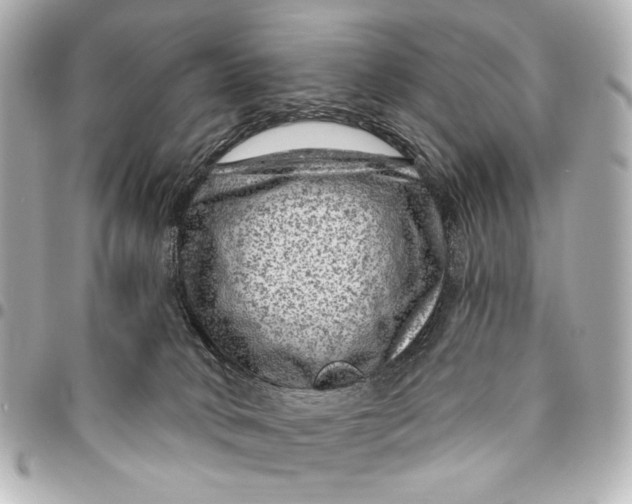 X0000094940034200712201125