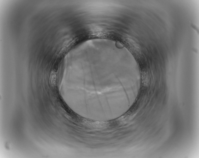 X0000094940036200712201125