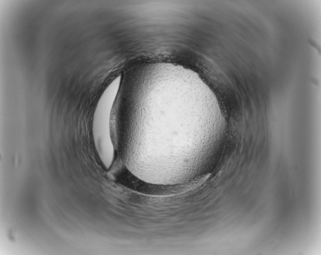 X0000094940037200712201125