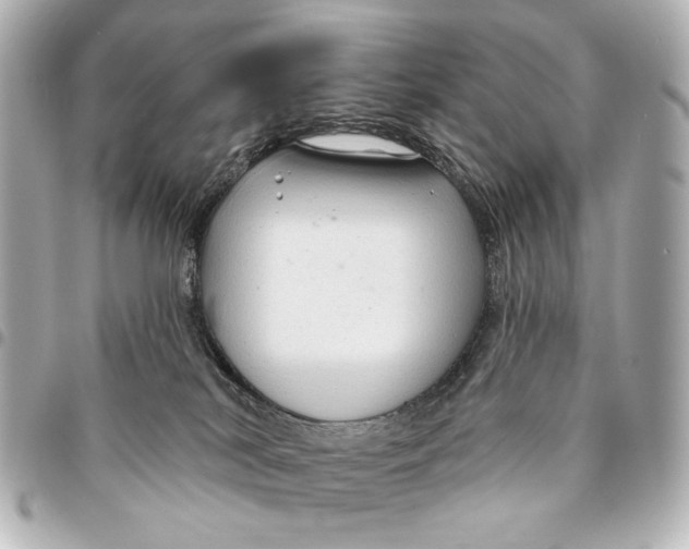 X0000094940038200712201125