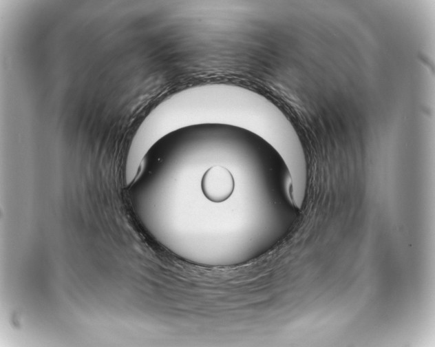 X0000094940039200712201125