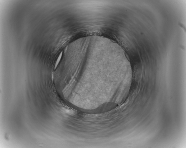 X0000094940041200712201125