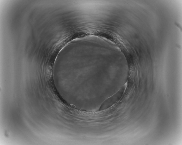 X0000094940043200712201125