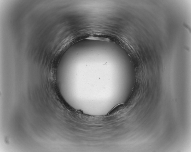 X0000094940044200712201124