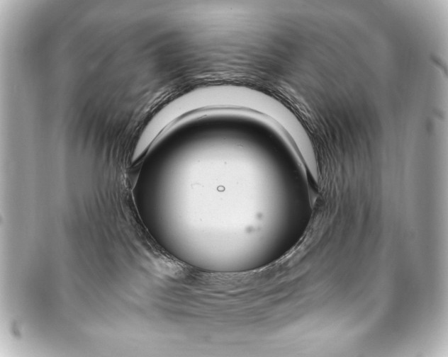 X0000094940045200712201124