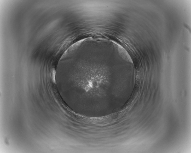 X0000094940046200712201124