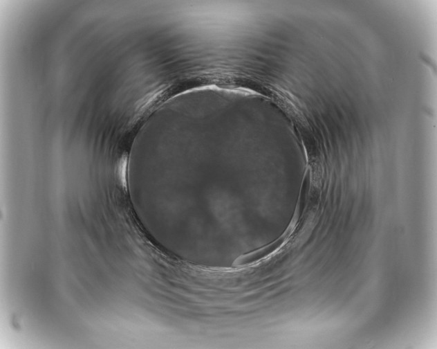 X0000094940047200712201124