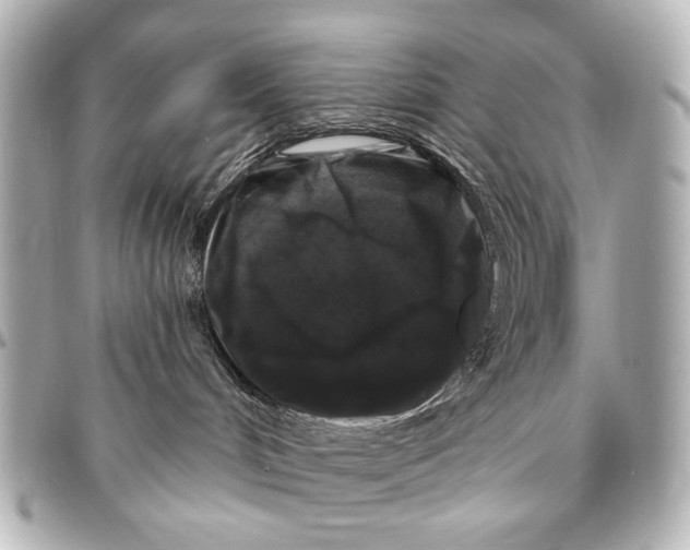 X0000094940048200712201124