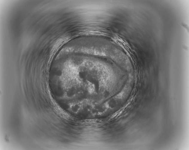 X0000094940049200712201124