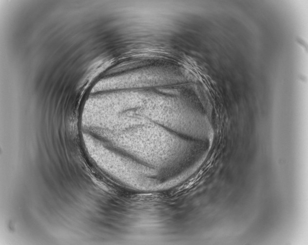 X0000094940050200712201124