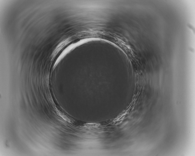 X0000094940051200712201124