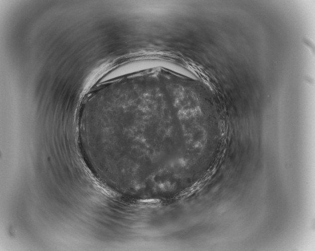 X0000094940053200712201124