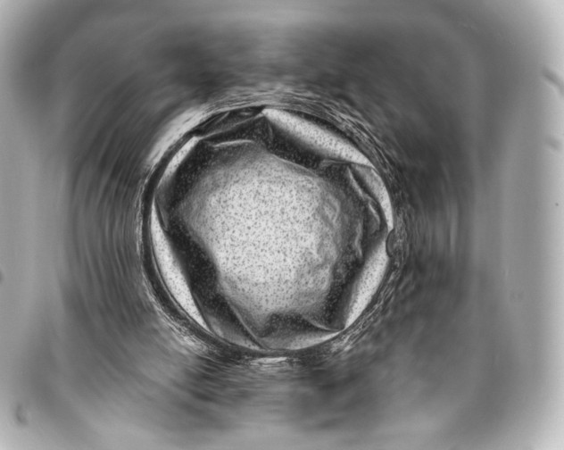 X0000094940054200712201124