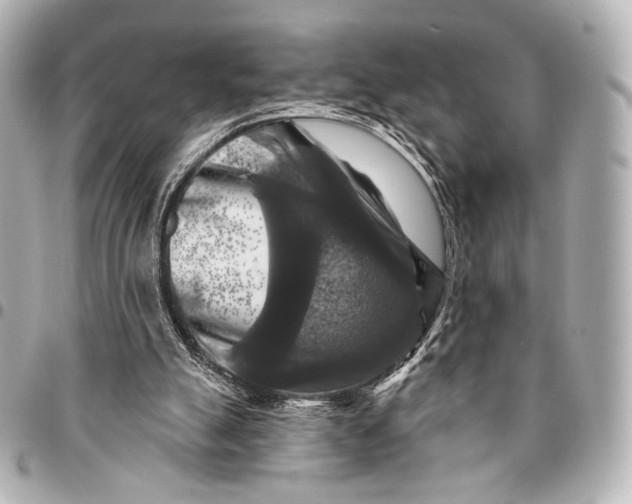 X0000094940055200712201124