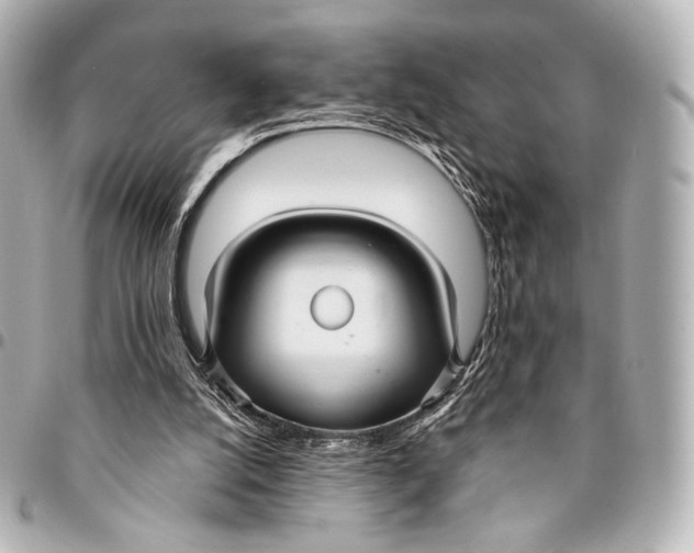 X0000094940056200712201124