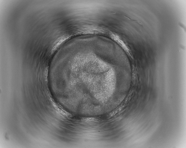 X0000094940058200712201124