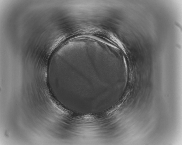 X0000094940059200712201124