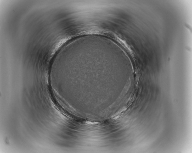 X0000094940060200712201124