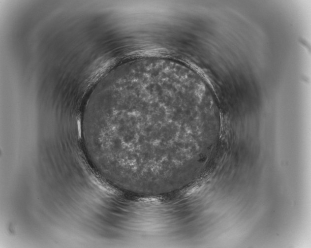 X0000094940061200712201124