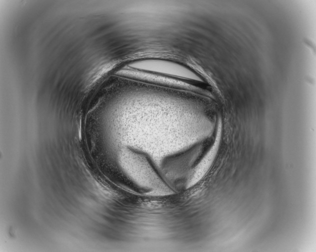 X0000094940062200712201124