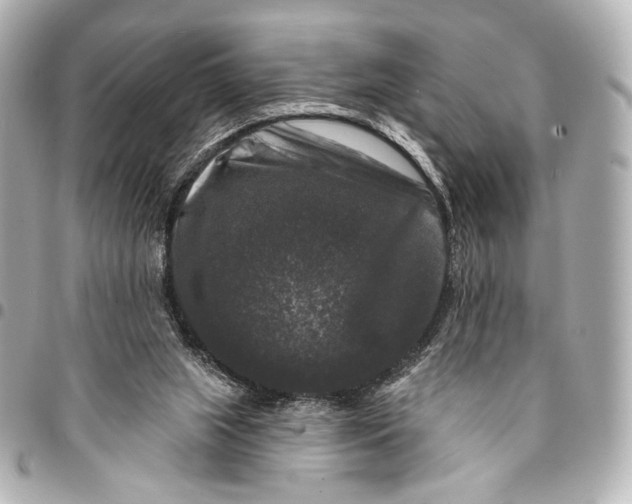 X0000094940063200712201124