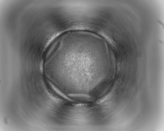 X0000094940064200712201124