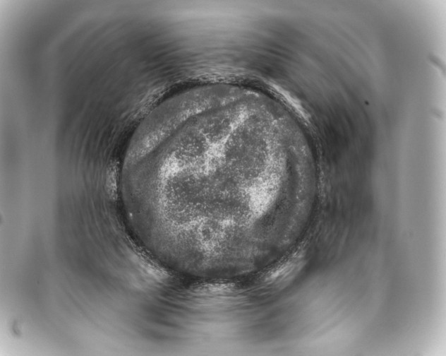 X0000094940065200712201124