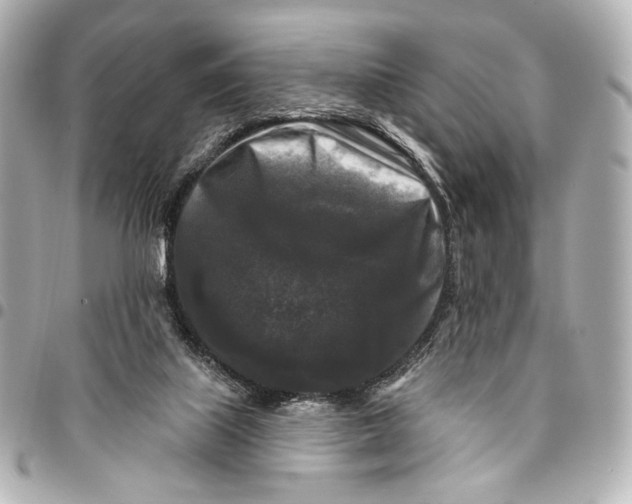 X0000094940067200712201124