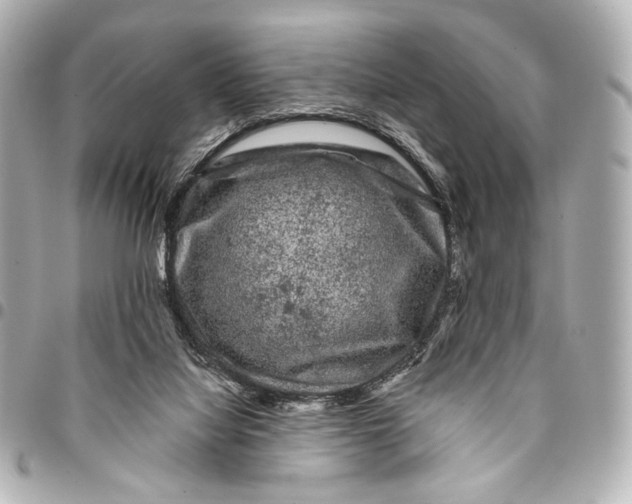 X0000094940068200712201124