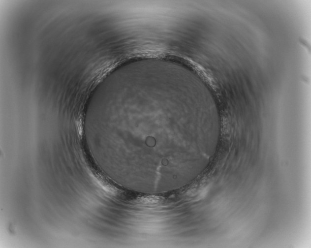 X0000094940069200712201124