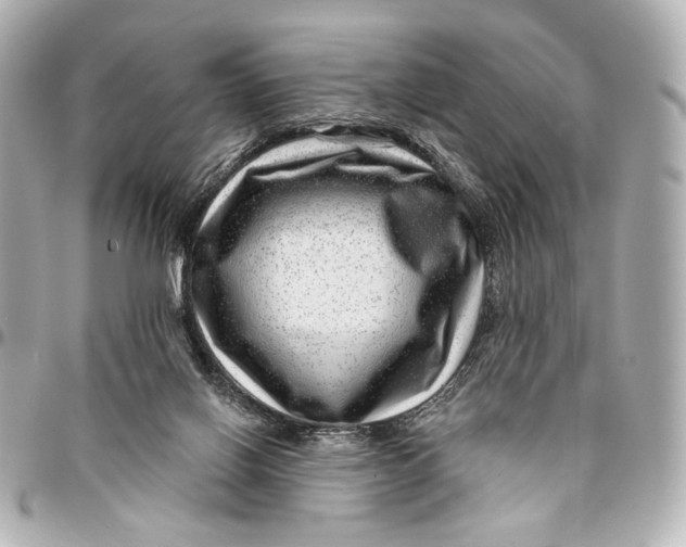 X0000094940070200712201124