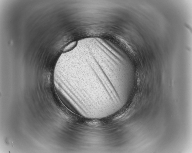 X0000094940071200712201124