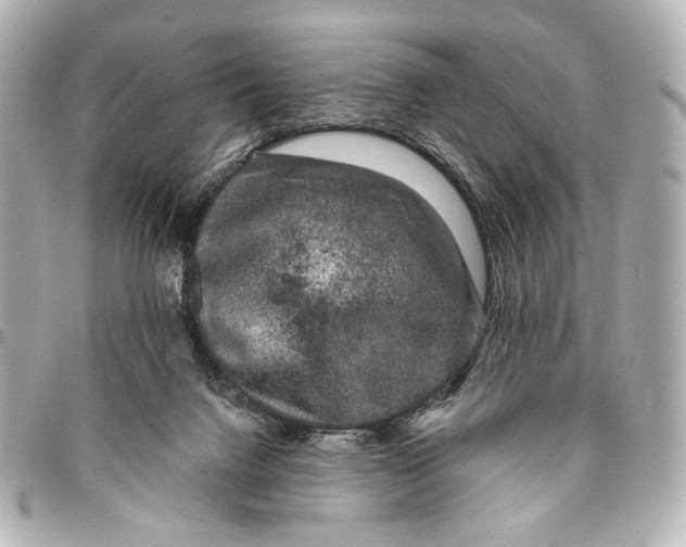 X0000094940072200712201124