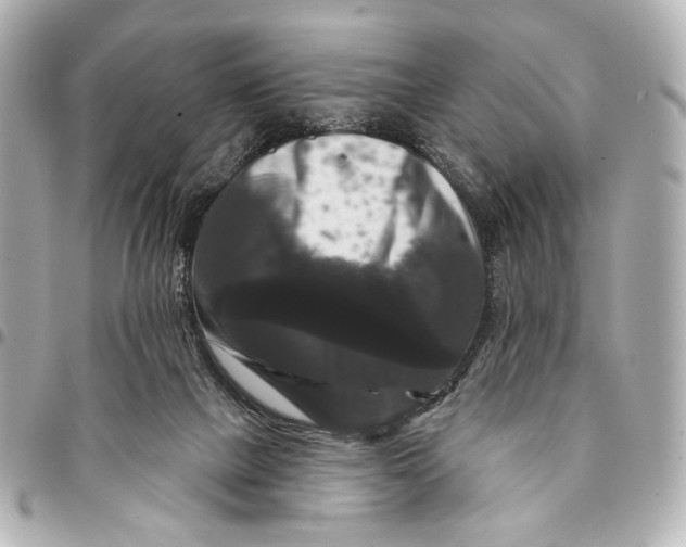 X0000094940073200712201124