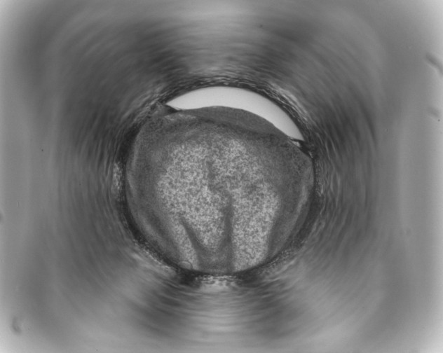 X0000094940077200712201124