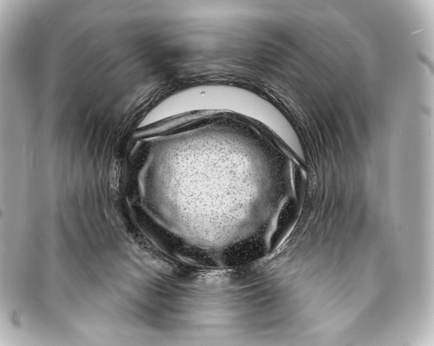 X0000094940078200712201124