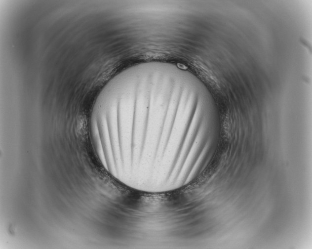 X0000094940079200712201124