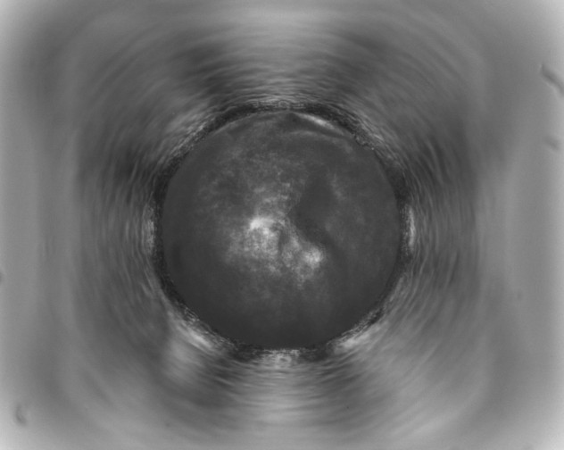 X0000094940080200712201124