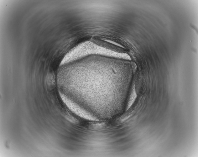 X0000094940081200712201124