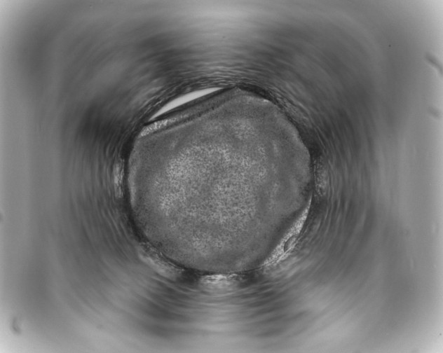 X0000094940082200712201124