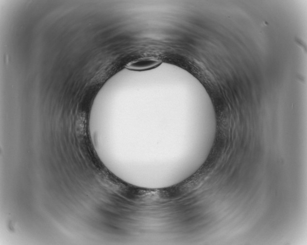 X0000094940083200712201124