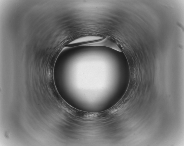 X0000094940084200712201124