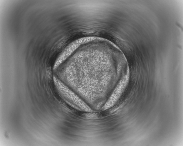 X0000094940085200712201124